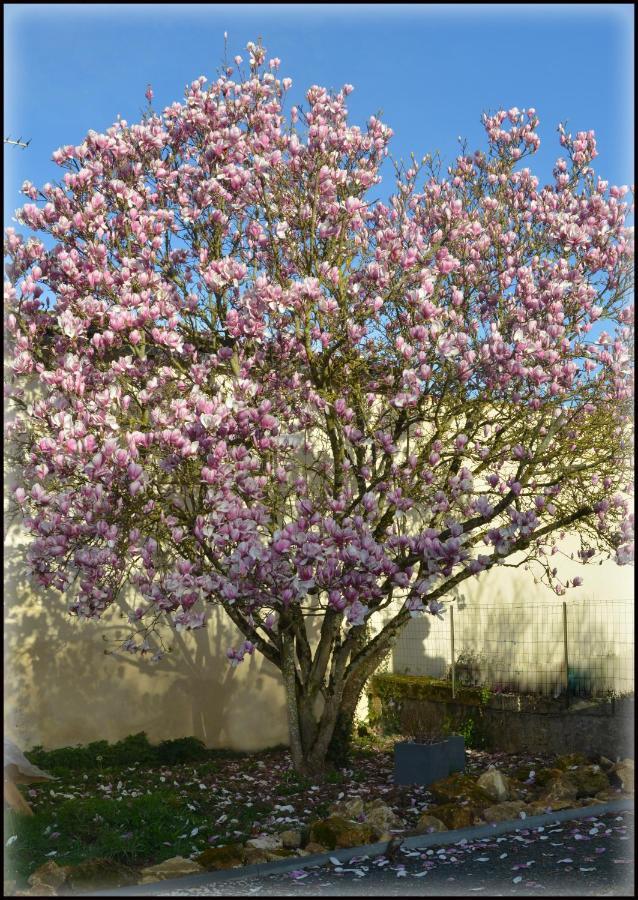 Gites Jardin-Darcy Bois Exteriér fotografie