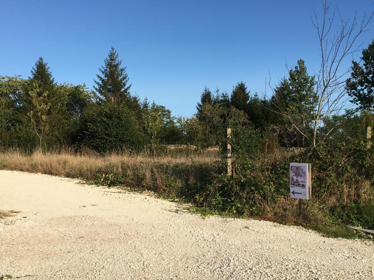 Gites Jardin-Darcy Bois Exteriér fotografie