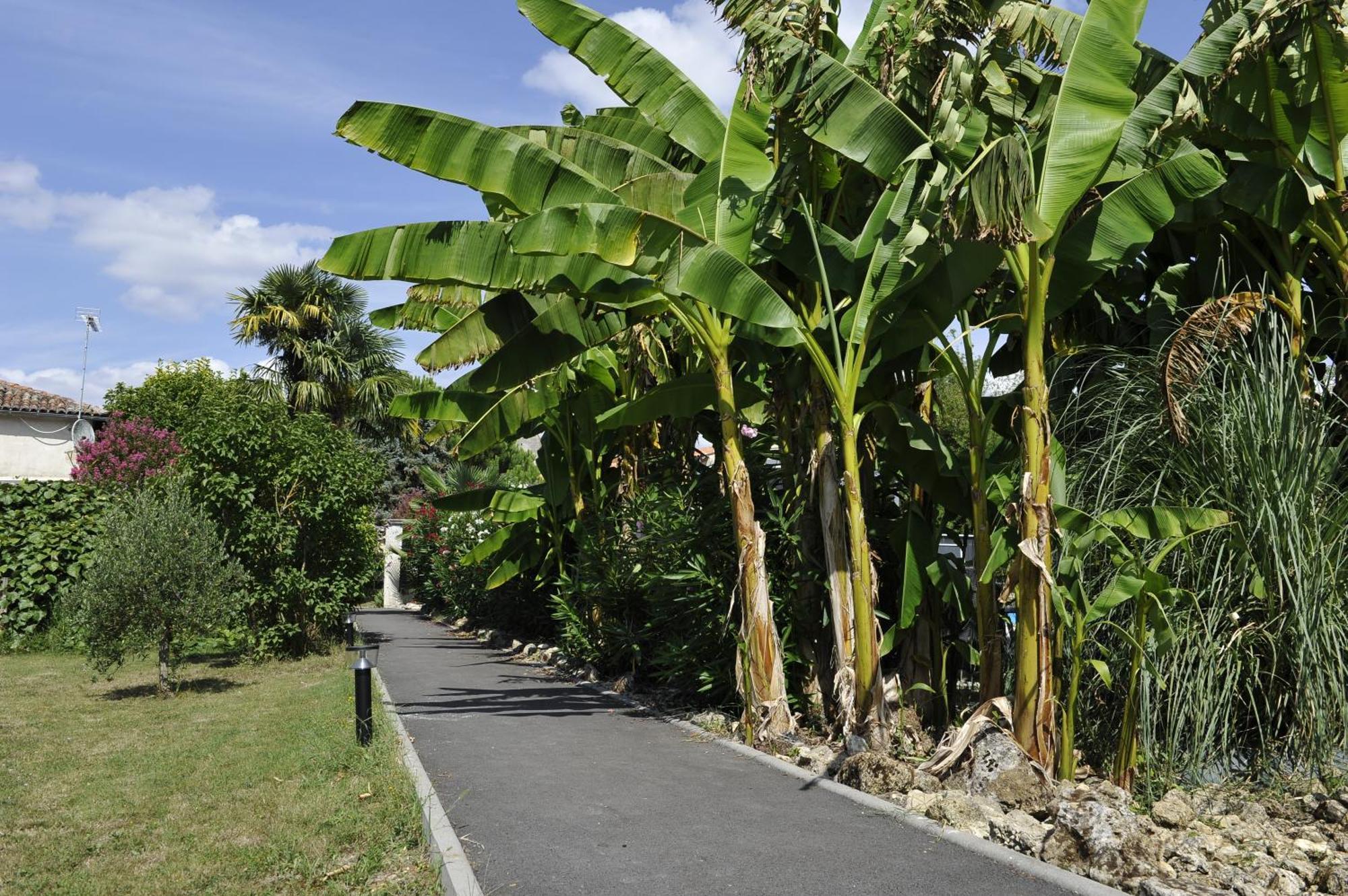 Gites Jardin-Darcy Bois Exteriér fotografie