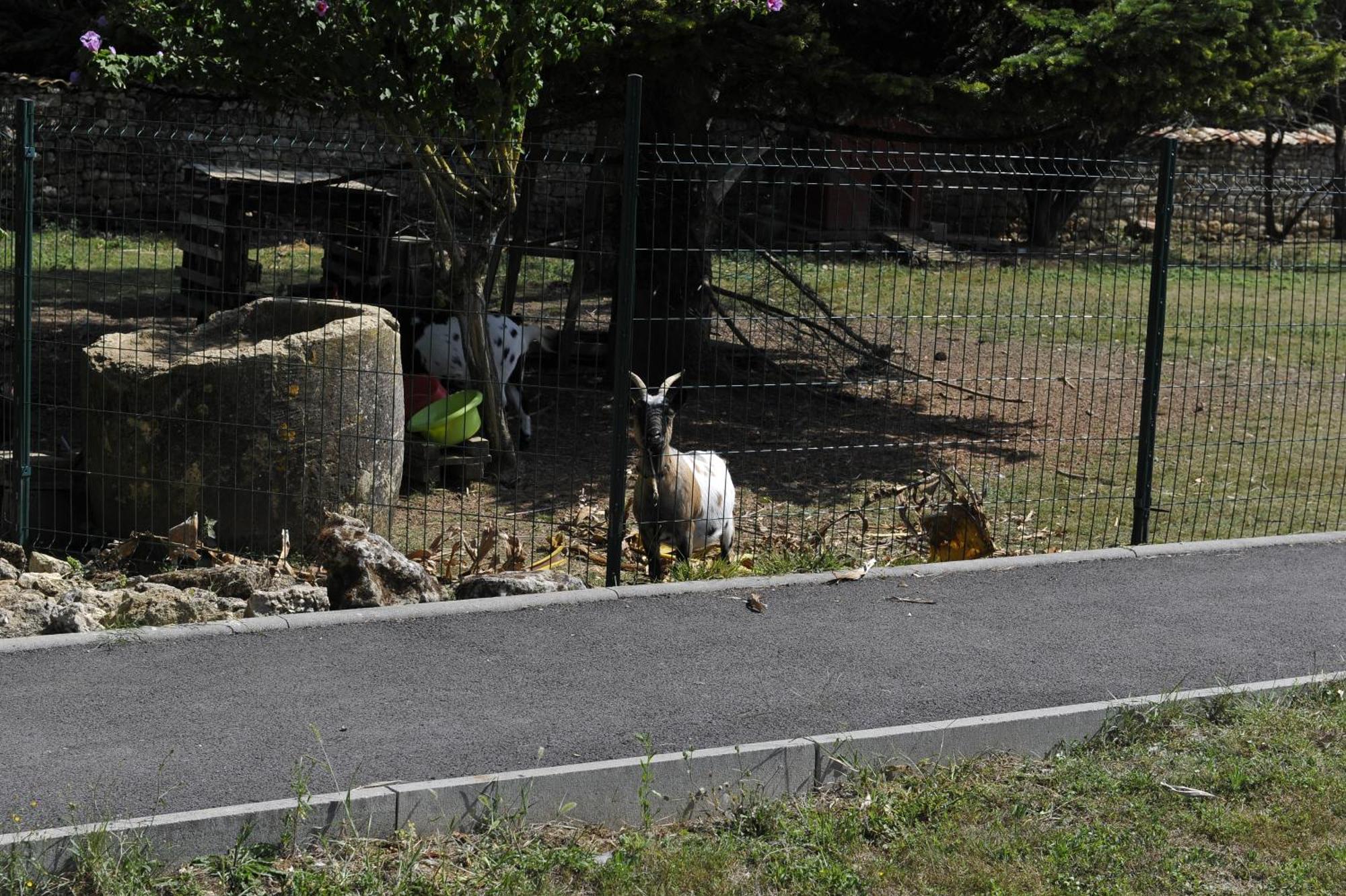 Gites Jardin-Darcy Bois Exteriér fotografie